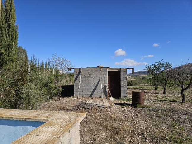 Image No.33-Maison de campagne de 5 chambres à vendre à Monóvar