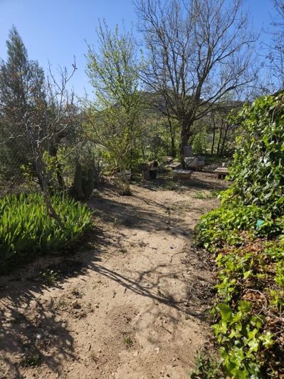 Image No.37-Maison de campagne de 5 chambres à vendre à Monóvar