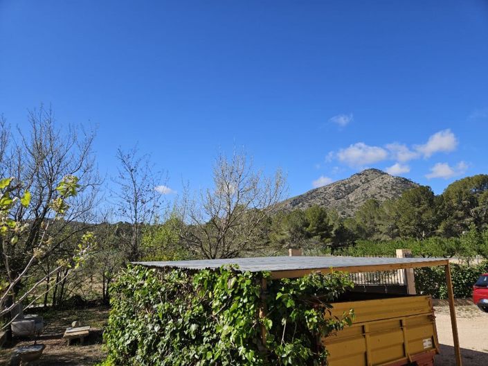 Image No.38-Maison de campagne de 5 chambres à vendre à Monóvar