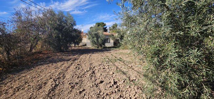 Image No.31-Maison de campagne de 2 chambres à vendre à Algueña