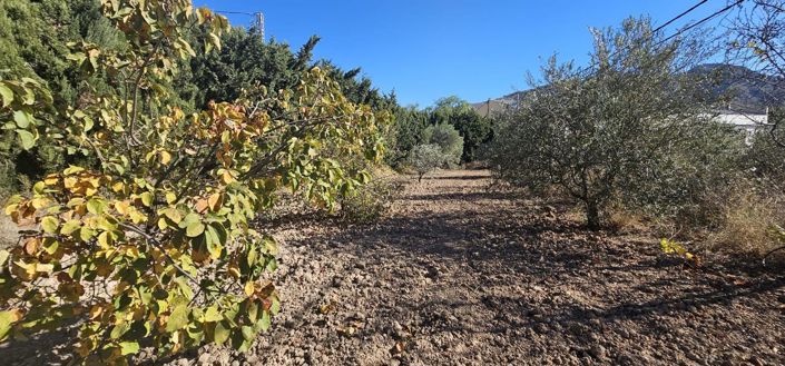 Image No.47-Maison de campagne de 2 chambres à vendre à Algueña