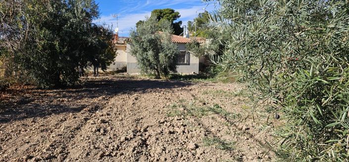 Image No.48-Maison de campagne de 2 chambres à vendre à Algueña