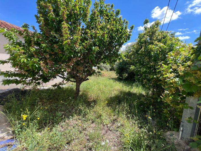 Image No.32-Maison de campagne de 2 chambres à vendre à Algueña