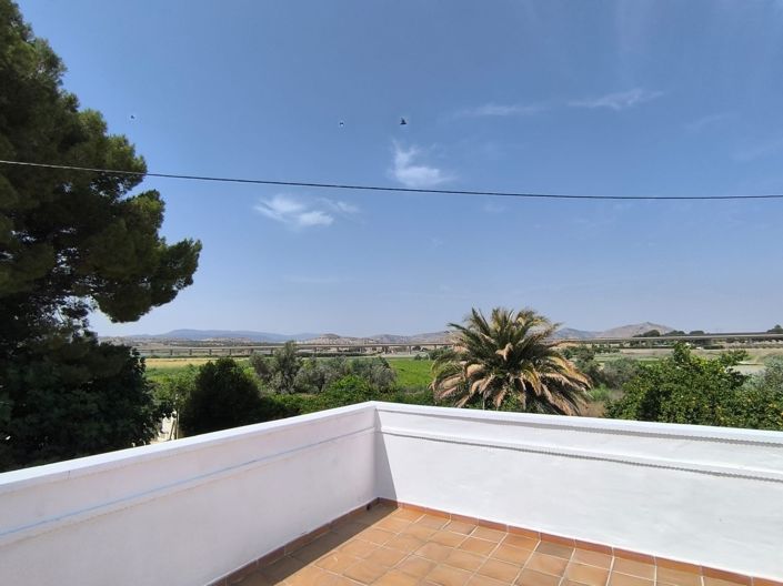 Image No.27-Villa de 13 chambres à vendre à Villena