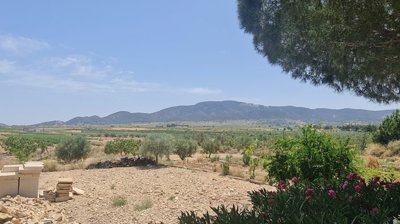 d685a4ec1b8120685a4ec1b816c