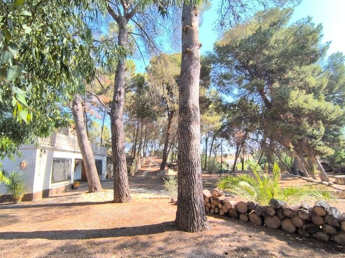 Image No.42-10 Bed Villa for sale