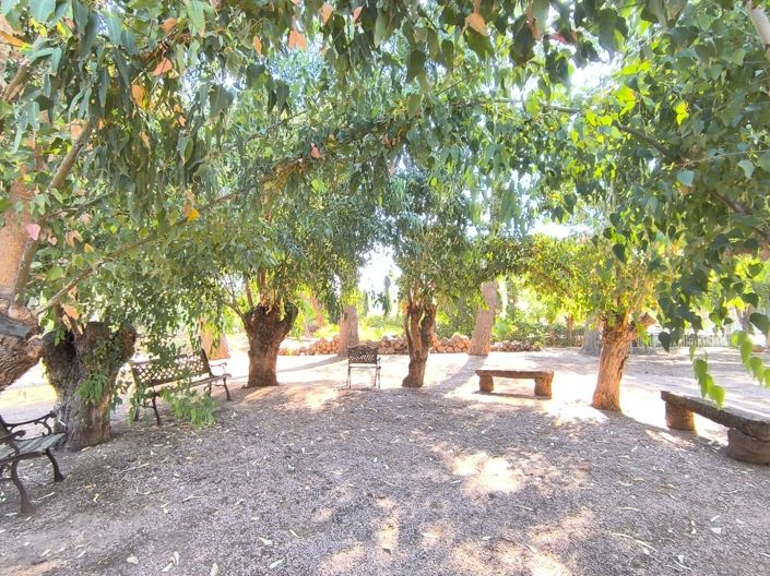 Image No.43-10 Bed Villa for sale