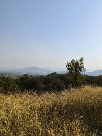 Image No.24-Propriété à vendre à Alicante