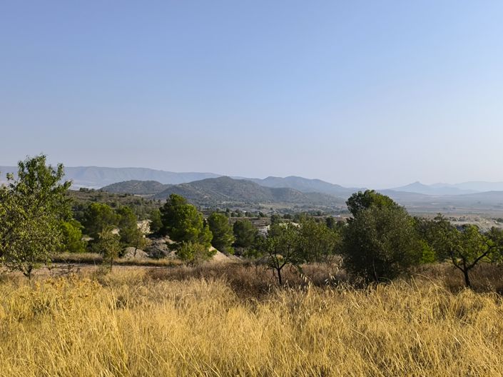 Image No.17-Propriété à vendre à Alicante