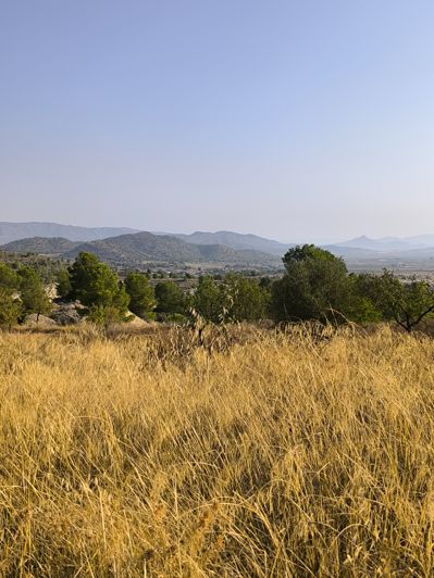Image No.49-Propriété à vendre à Alicante