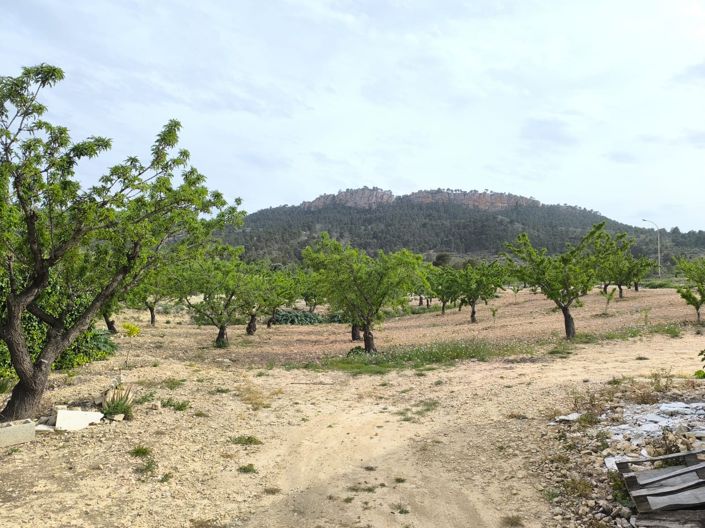 Image No.2-Maison de campagne de 7 chambres à vendre à Jumilla