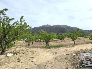 d68a1af5ca1c2568a1af5ca1c6c