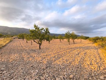 o1j3e67im81unk14msga81rer9n41i