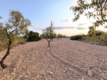 o1j3e67im8j2ridpl5jep129q1g