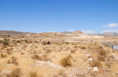 o1j4acsmlt1f2o3mrm1neu15051i