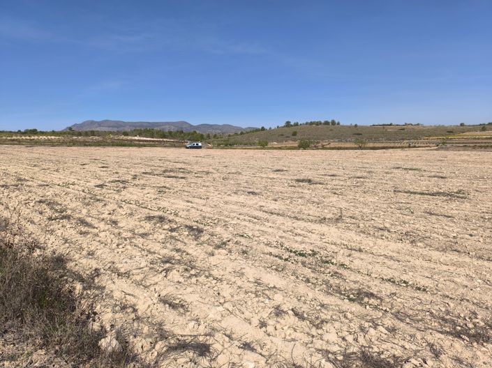 Image No.6-Terre à vendre à Pinoso