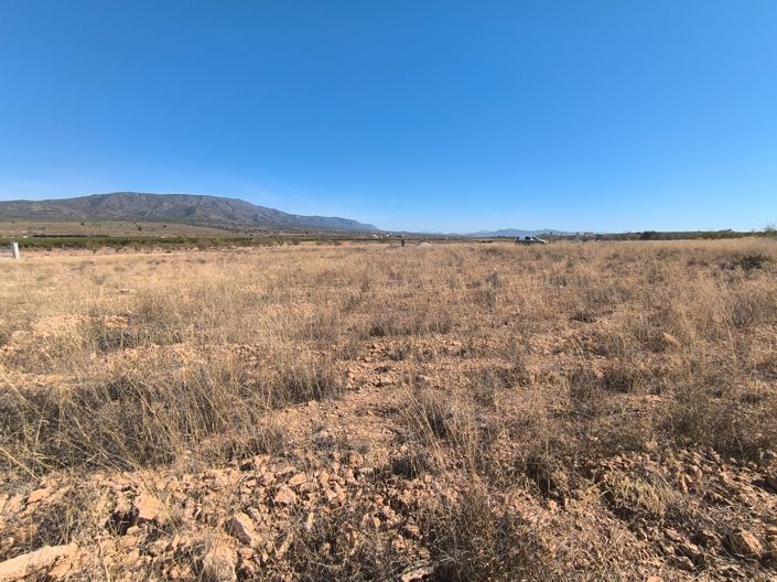 Image No.3-Terre à vendre à Pinoso