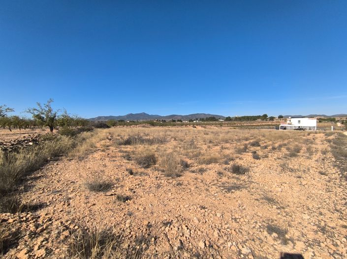 Image No.6-Terre à vendre à Pinoso