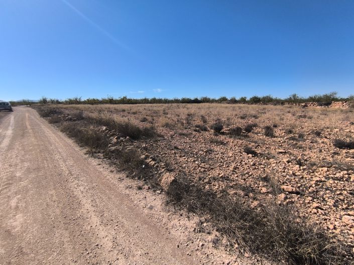 Image No.7-Terre à vendre à Pinoso