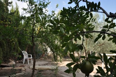 d68f0c9631f4b768f0c9631f4fd