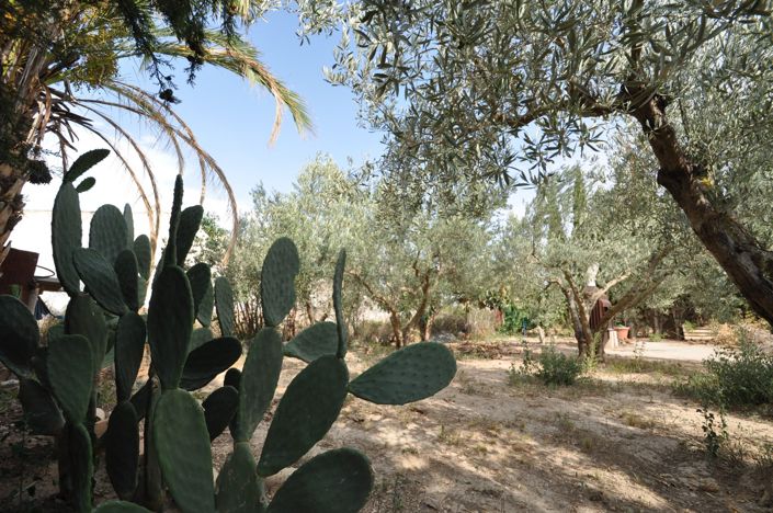 Image No.12-Maison de campagne de 4 chambres à vendre à Pinoso