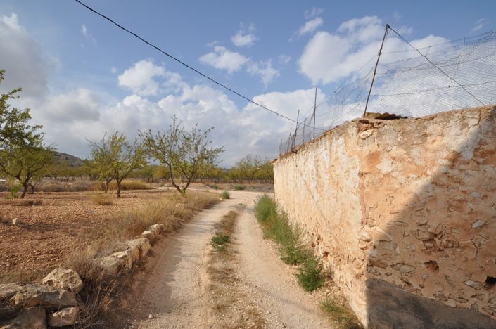Image No.21-Maison de campagne de 4 chambres à vendre à Pinoso