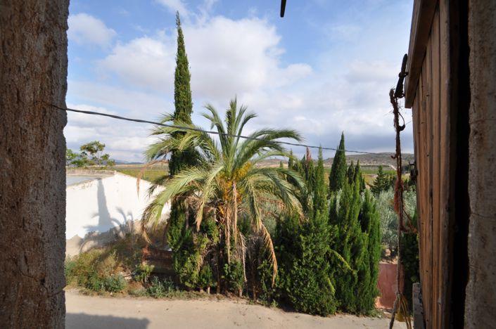 Image No.31-Maison de campagne de 4 chambres à vendre à Pinoso