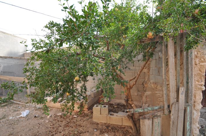 Image No.33-Maison de campagne de 4 chambres à vendre à Pinoso