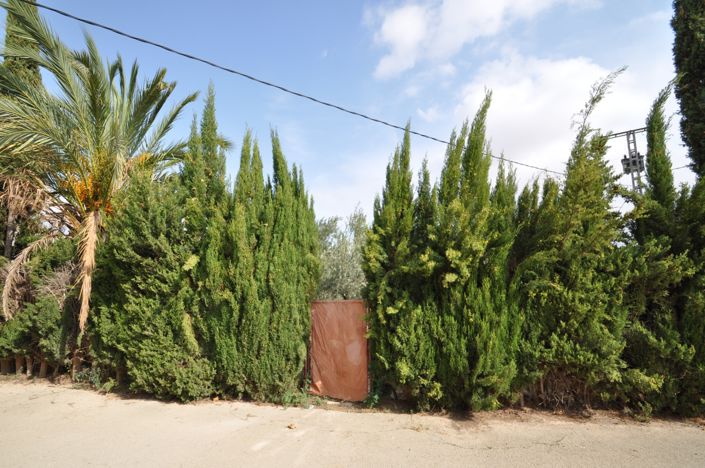 Image No.38-Maison de campagne de 4 chambres à vendre à Pinoso