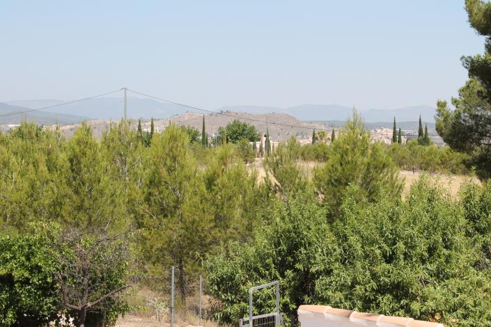 Image No.38-Propriété de pays de 4 chambres à vendre à Cehegín