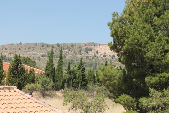 Image No.39-Propriété de pays de 4 chambres à vendre à Cehegín