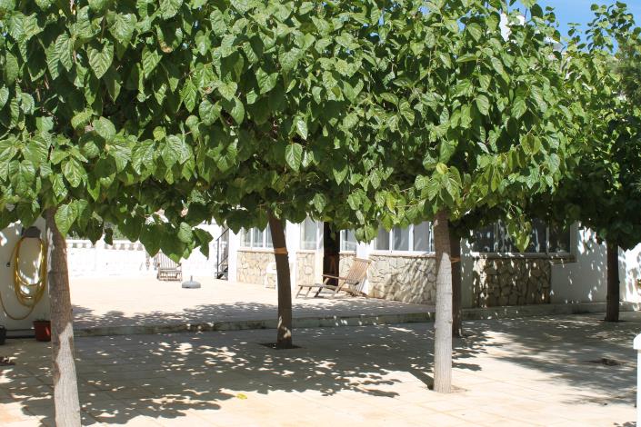 Image No.36-Propriété de pays de 4 chambres à vendre à Cehegín