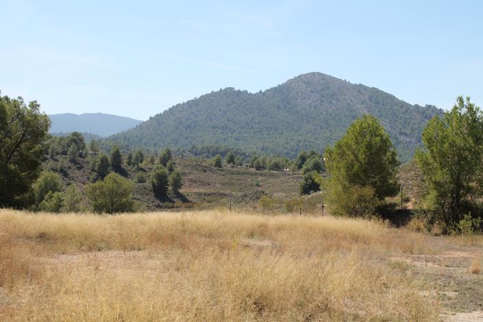 Image No.42-Propriété de pays de 4 chambres à vendre à Cehegín