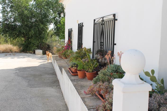 Image No.7-Propriété de pays de 4 chambres à vendre à Cehegín