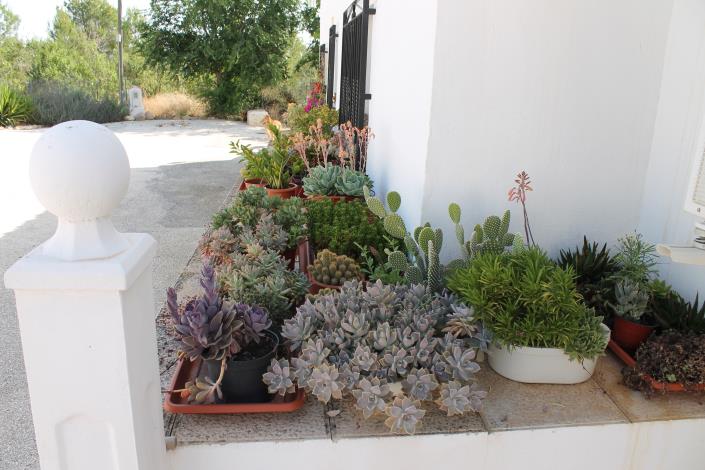 Image No.6-Propriété de pays de 4 chambres à vendre à Cehegín