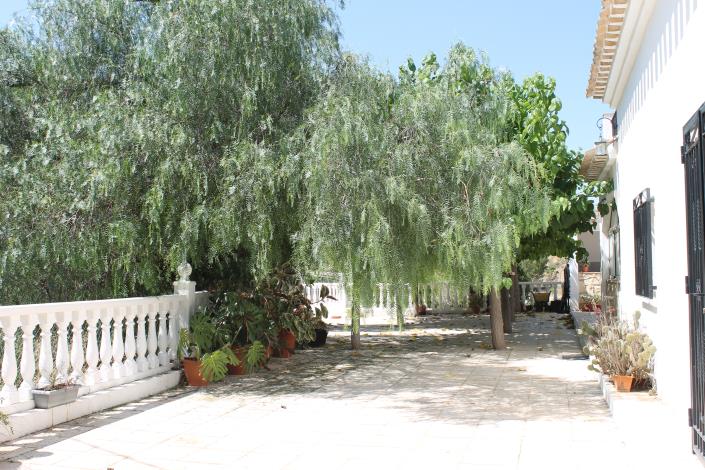 Image No.37-Propriété de pays de 4 chambres à vendre à Cehegín