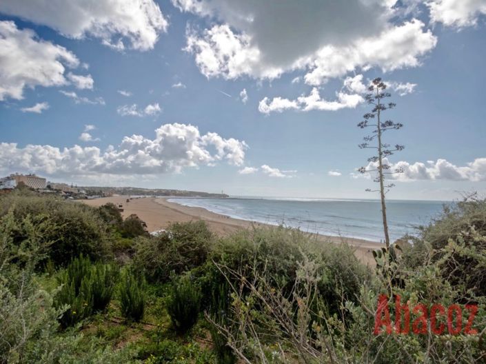 Image No.9-Commercial for sale