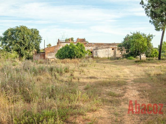 Image No.4-Plot for sale