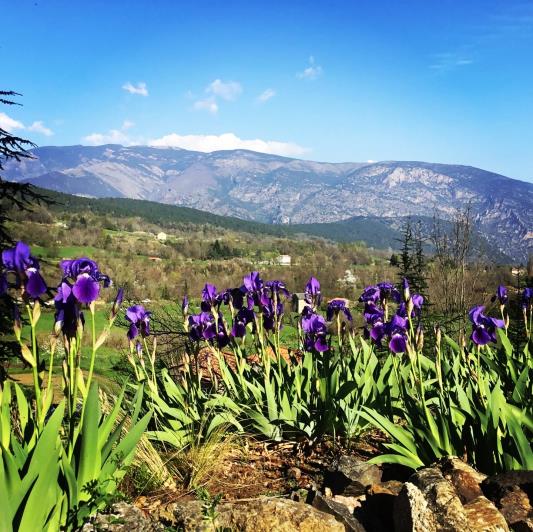 Image No.21-14 Bed Country Property for sale