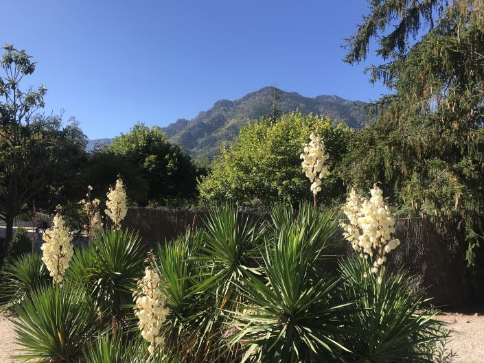 Image No.22-14 Bed Country Property for sale