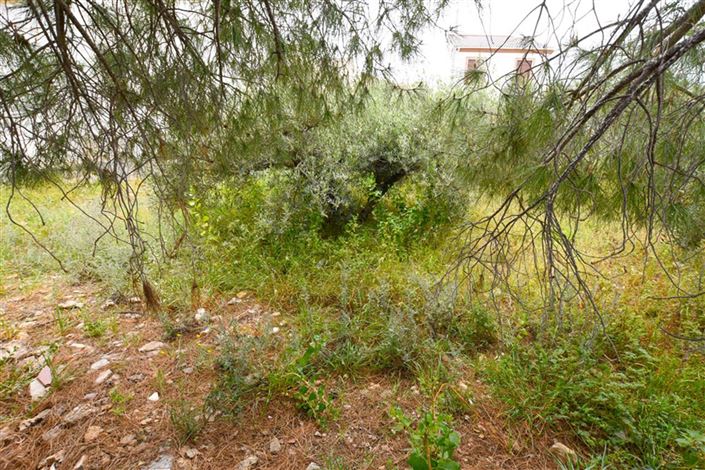 Image No.5-Propriété à vendre à Almeria