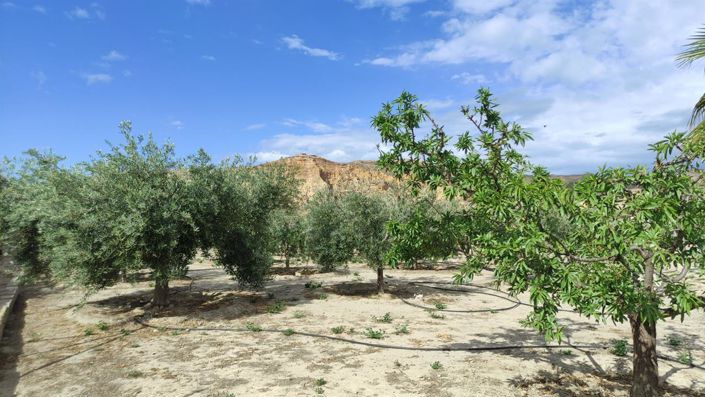 Image No.14-Propriété à vendre à Cuevas del Almanzora