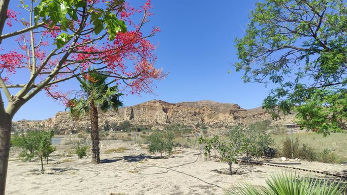 Image No.15-Propriété à vendre à Cuevas del Almanzora