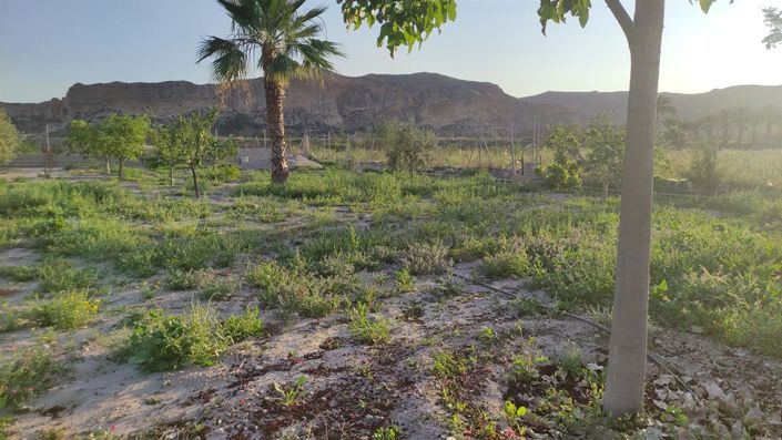 Image No.8-Propriété à vendre à Cuevas del Almanzora