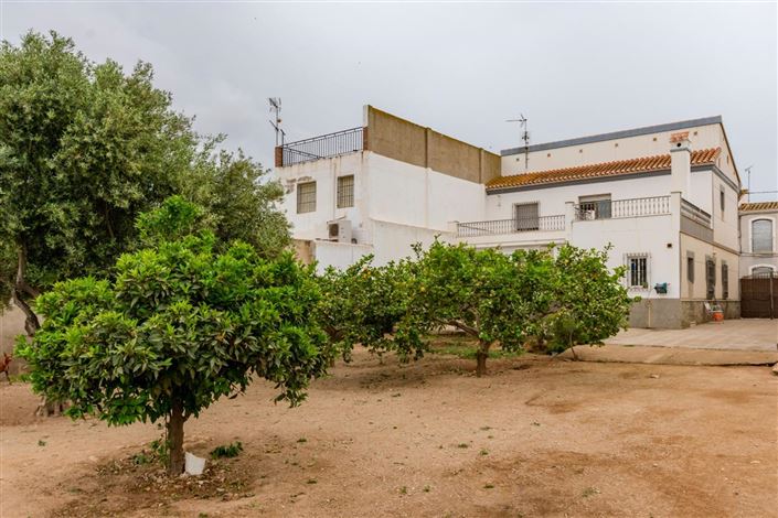 Image No.18-Propriété de 6 chambres à vendre à Los Gallardos