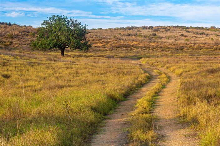 Image No.6-Villa de 3 chambres à vendre à Murcie