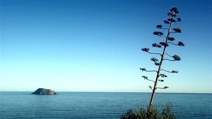 Image No.32-Appartement de 3 chambres à vendre à San Juan De Los Terreros