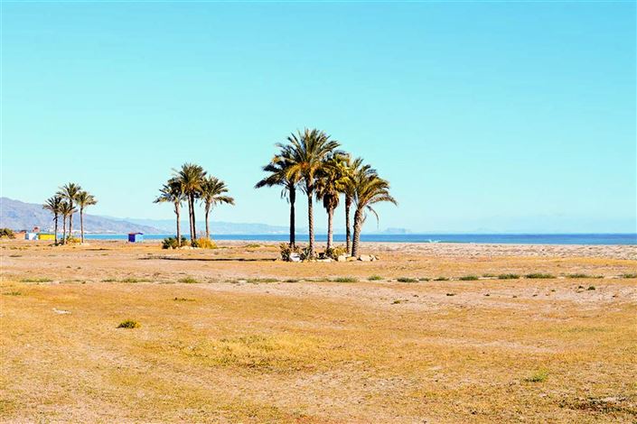 Image No.39-3 Bed Villa for sale