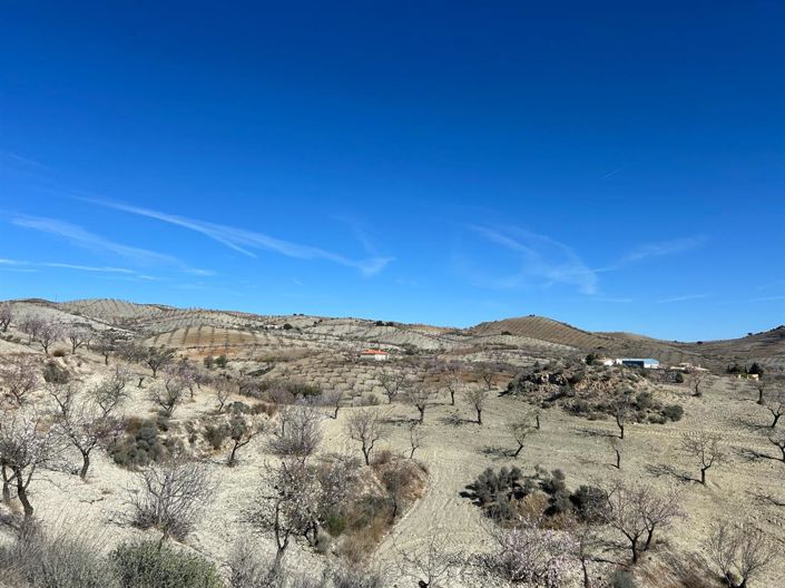 Image No.13-3 Bed Villa for sale