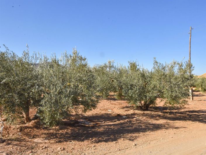 Image No.19-3 Bed Villa for sale